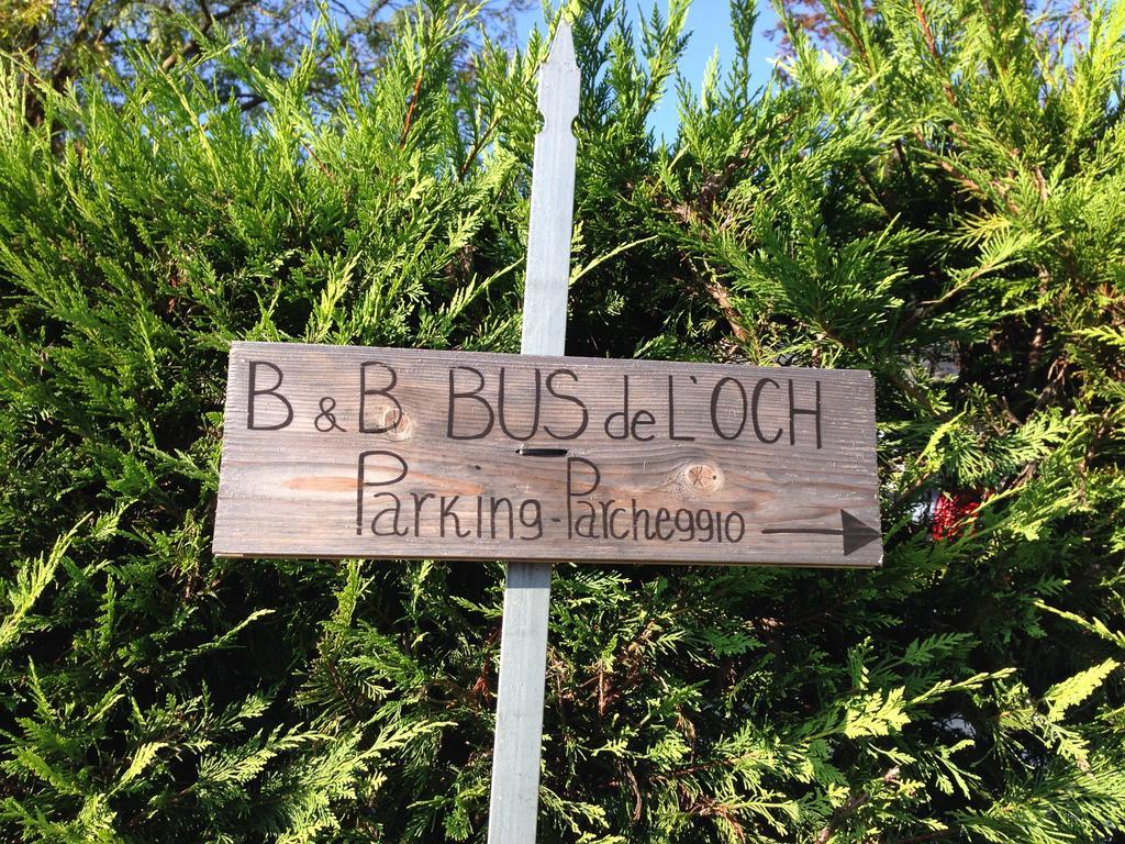 Bus De L'Och Bed and Breakfast Feltre Zewnętrze zdjęcie